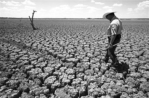 美玉米大豆减产涨价 大旱引发全球粮食系统震