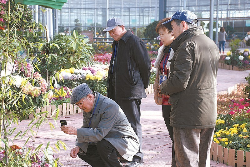 齐齐哈尔铁路公安处离退休职工在观赏花卉