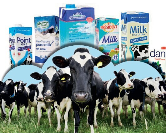 国内乳企淡定应对进口奶入侵：一盒奶走完流程至少俩月