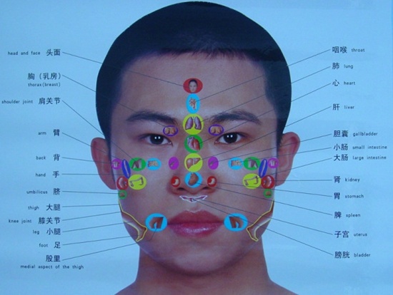 名医绘制脸部疾病地图脸色通红是心脏不好（图）