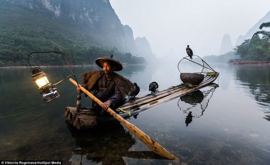 俄摄影师镜头下的中国鸬鹚捕鱼者