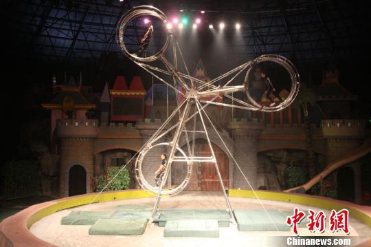 江蘇常州馬戲演員高空摔落節目被停一週後復出