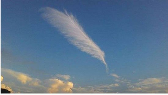 台湾“气象局预报中心主任”郑明典28日脸书上分享一张形似羽毛的云朵照片，美到让网友赞叹这是天使翅膀掉落的羽毛。图自台湾“中央社”