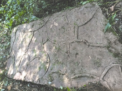 四川昭化发现神秘“石刻” 图片来源于网络 新浪收藏配图