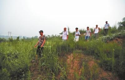 白草坡村村民自发成立的护墓队正在田间地头巡逻