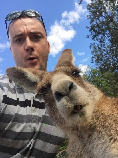 澳大利亚男子和袋鼠的自拍合照最近在网上走红了。图片来源：reddit网站。 