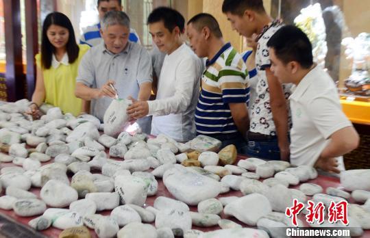 10月2日，福州首屆玉文化“賭石”大會在福州三坊七巷中華玉文化館舉行，來自緬甸的近6千件翡翠原石亮相該“賭石”大會。　記者劉可耕　攝