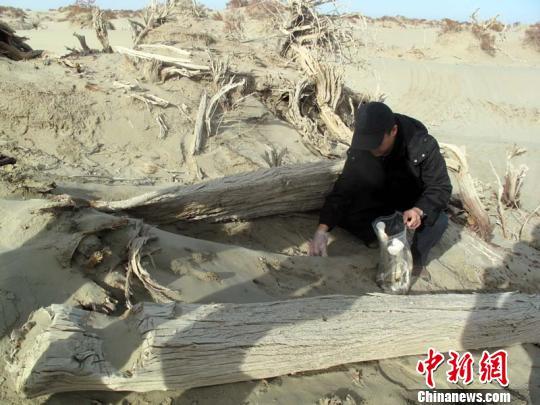 复旦大学现代人类学教育部教授李辉在一处遭到破坏的古墓群表面搜集尸骨。