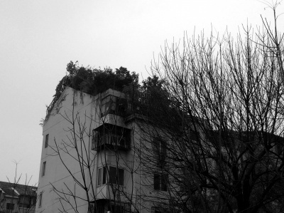 68岁大爷楼顶自建5层“空中花园”被居民投诉(图)