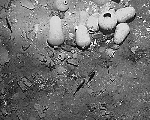 這是被公開的“聖何塞”號殘骸照片
