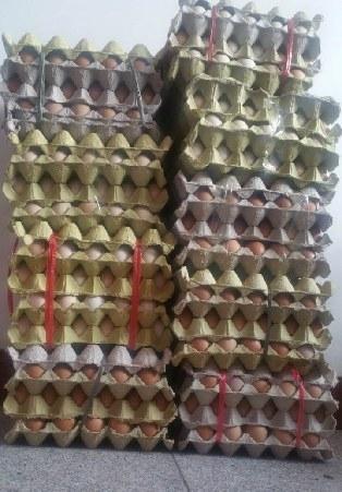 女子坐月子收到1200枚雞蛋 丈夫發貼1天賣光
