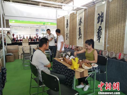 第五届中国呼和浩特国际茶产业博览会启幕