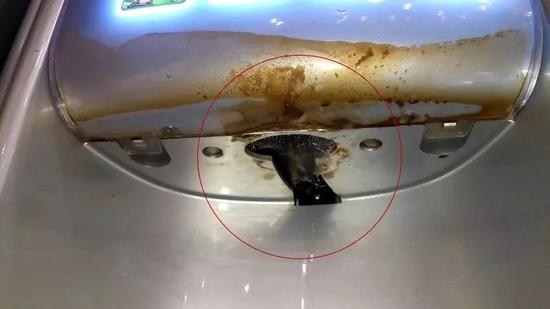 热饮机下部的网罩破损，且周边充满污垢  图片由举报者提供
