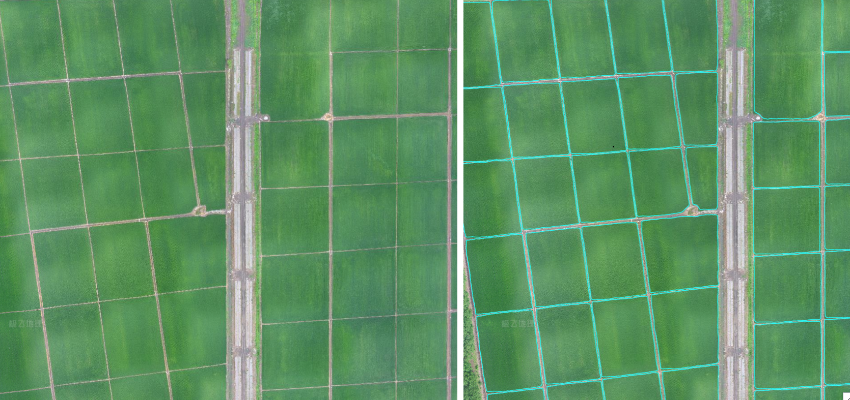 XAI 基于无人机高清图像自动识别农田边界（右）。该高清农田地图可导入植保无人机，指导无人机精准飞行并完成全自主作业。 