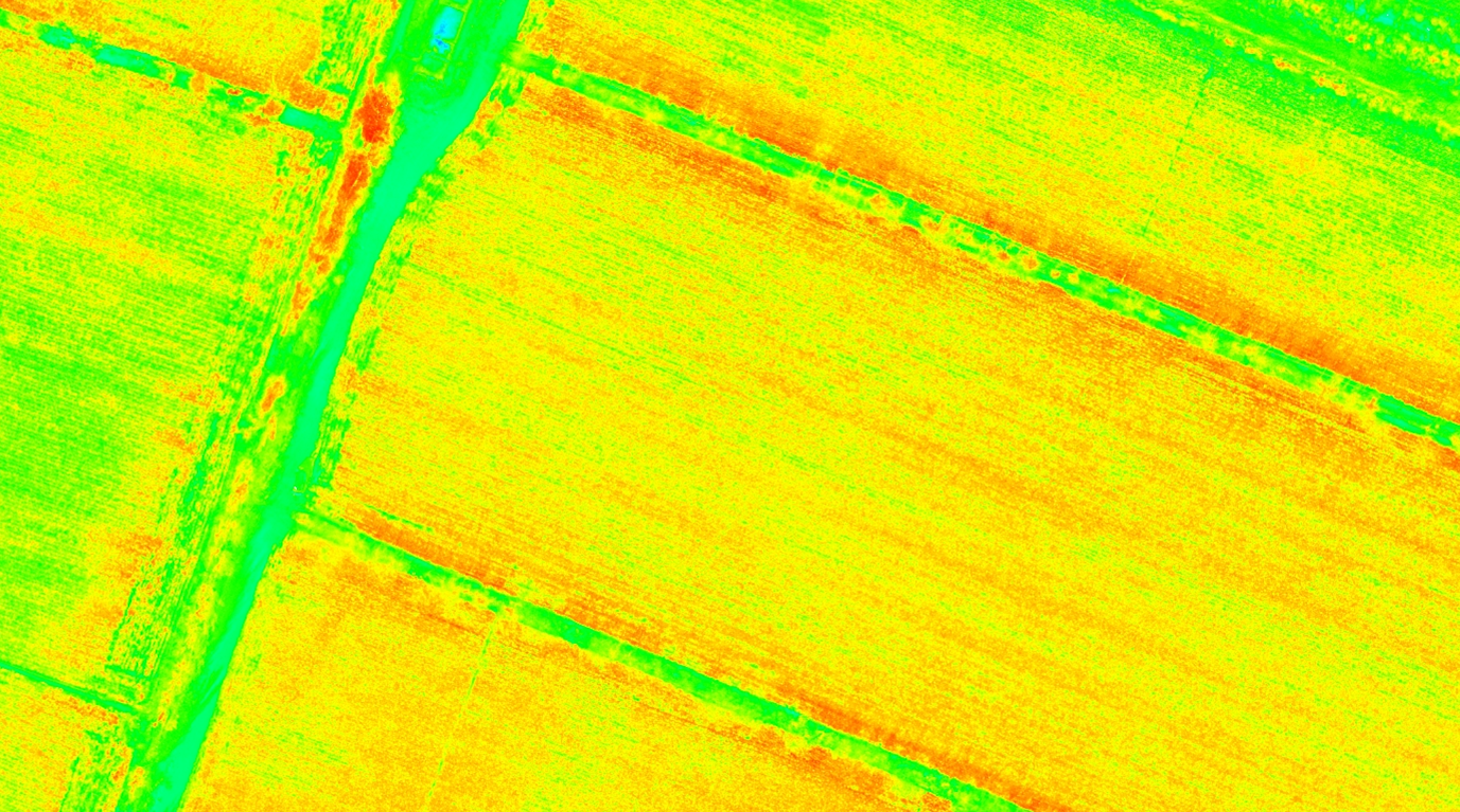 基于无人机拍摄的棉田多光谱影像，可利用XAI自动识别作物长势，辅助棉田喷洒决策 