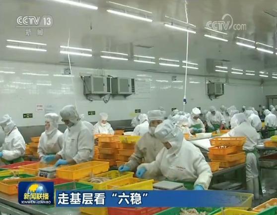 中国外贸环境复杂鳕鱼出口企业如何“绝地逢生”