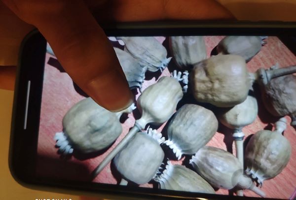 QQ上的卖家均用“闪照”的形式展示了罂粟壳照片，然后快速撤回消息。 