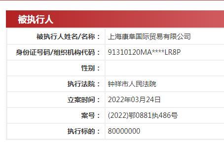 “拥有品牌“卫莱仕”的上海康阜国际贸易有限公司成被执行人 执行标的8千万元