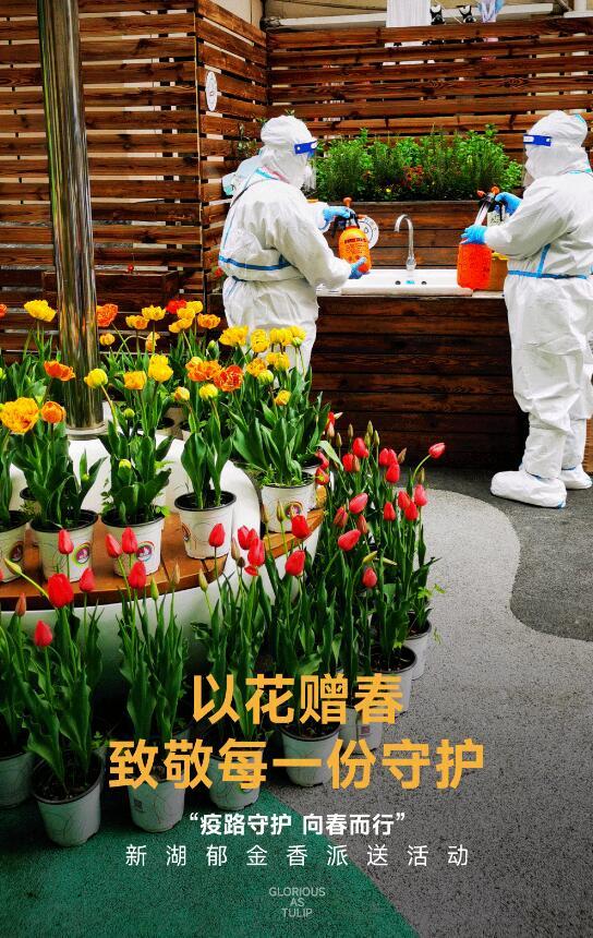 “疫路守护，向春而行”上海新湖郁金香公益活动暖心致意