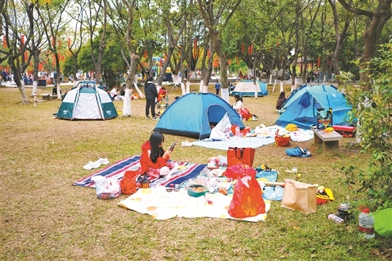 “公园草坪上能不能搭帐篷露营？ 《指引》公开征求意见