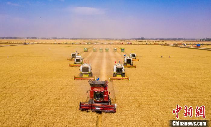 “河南小麦大规模机收基本结束 收获面积逾8500万亩