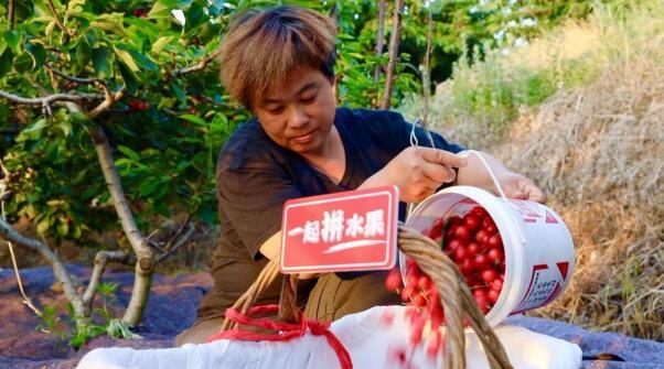 “电商版“舌尖上的中国”上线啦！“寻鲜中国好农货”公益助农活动启动