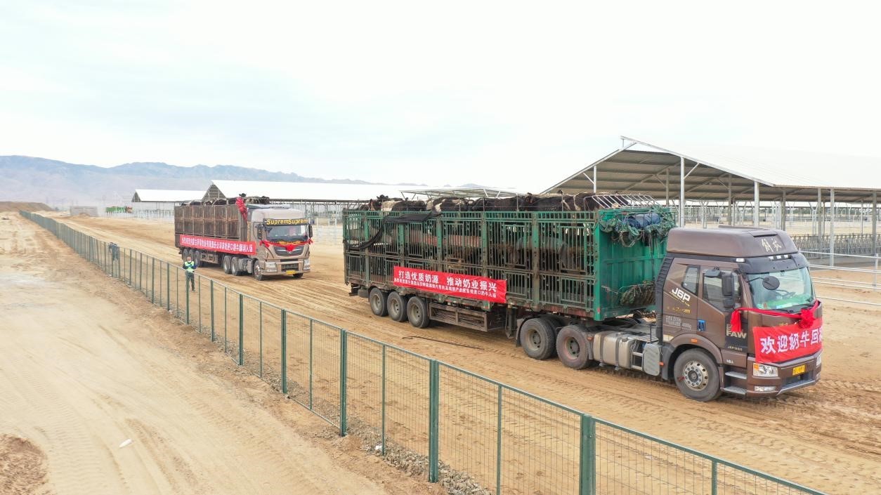 “蒙牛模式”推进中国乳业产业园建设高质量发展