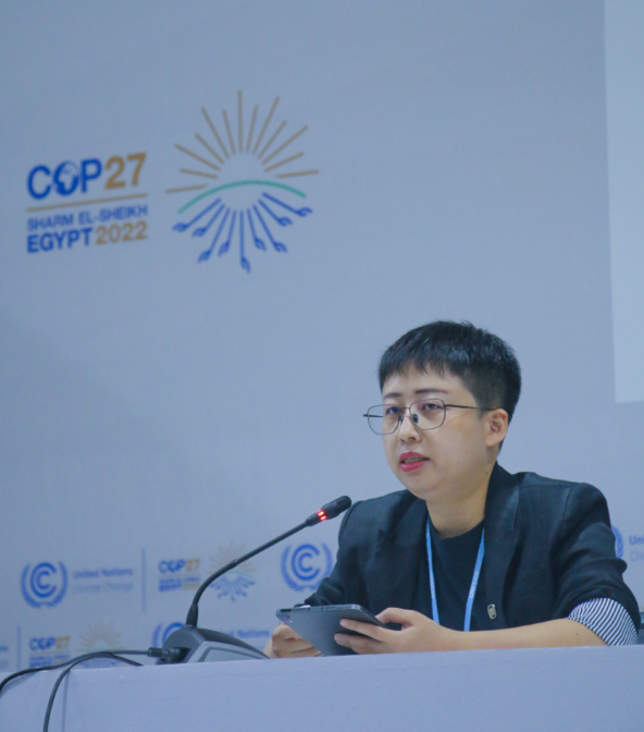 “能链智电CEO王阳：绿色金融是新能源产业发展的加速器——COP27“绿色金融与气候变化应对”主题边会演讲