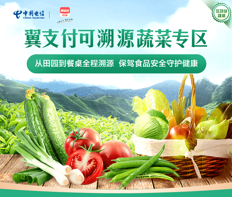 可溯源蔬菜专区上线中国电信翼支付推动“区块链＋蔬菜”综合试点成果转化