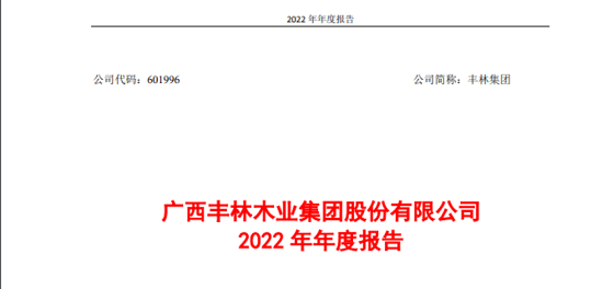 丰林集团2022年净利润4535.55万元同比下降72%