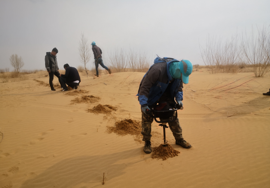 沙尘天气再次来袭，库布其治沙人在行动