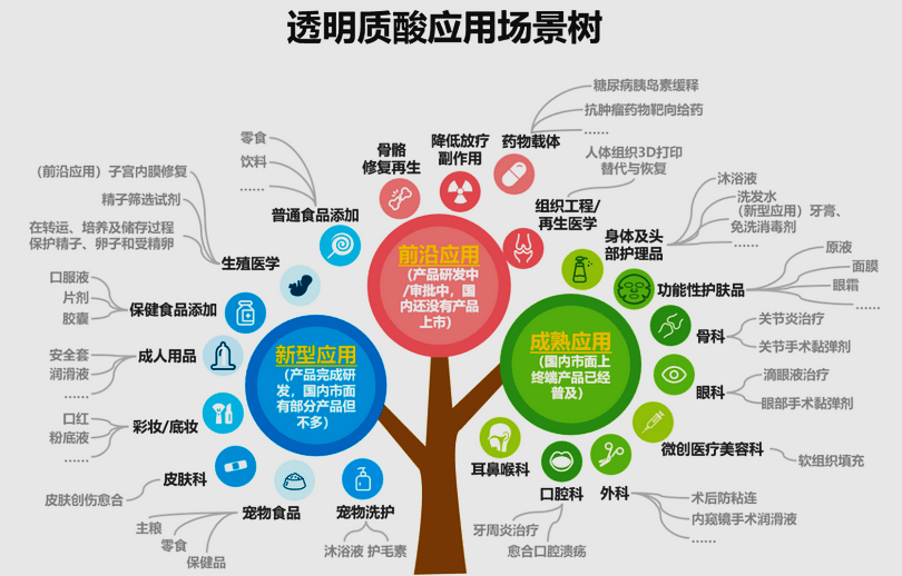 中国（济南）透明质酸产业大会：一部玻尿酸的进化史