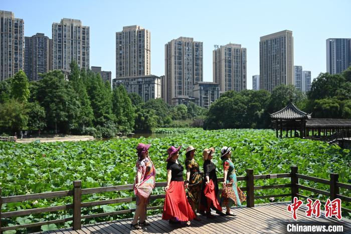耀世注册重庆城市公园满塘荷叶绿意浓_财经_中国网(图1)