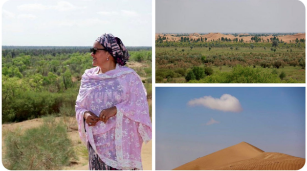 联合国常务副秘书长阿明娜参访内蒙古亿利库布其可持续沙漠治理
