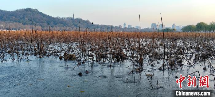 杭州西湖开启“冰冻模式”部分湖面结冰