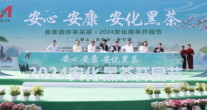 湖南安化：2024开园节盛大启幕共绘黑茶新篇章