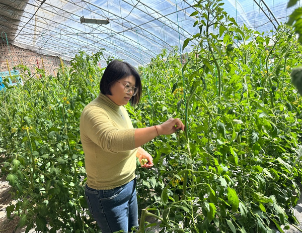 
江苏省人民医院黄牛票贩子号贩子跑腿代挂号电话逆境绽芳华：