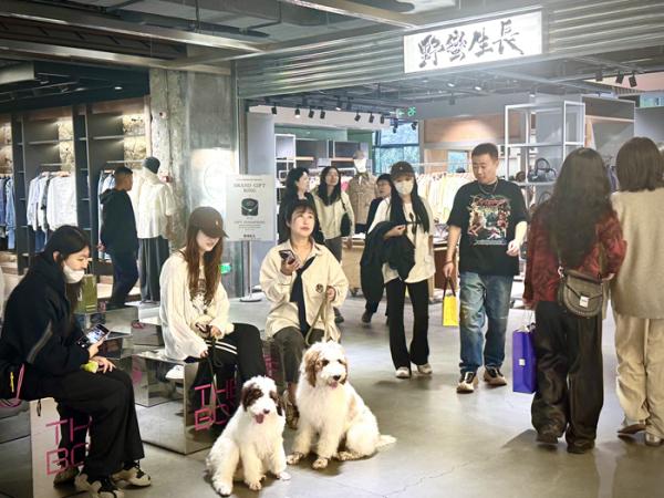美嘉体育app不按套路出牌 撬动商业新模式(图2)
