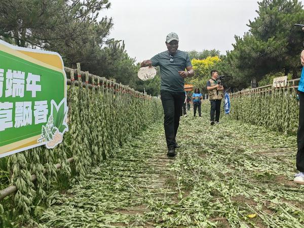 
上海眼耳鼻喉科医院黄牛票贩子号贩子跑腿代挂号电话以艾为媒共谋中医药发展 北京大兴礼贤镇第三届艾草文化季璀璨开幕