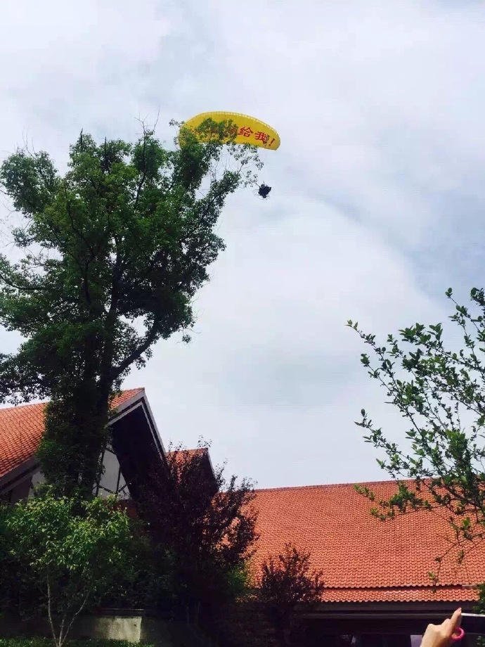 湖北男子开滑翔伞求婚 不想被风吹挂树上
