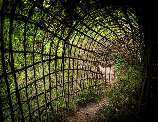 西班牙老人森林中建现实版潘神的迷宫(7)