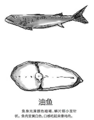 如何分辨银鳕鱼和油鱼